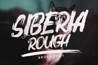 Siberia Rough: A Dynamic Display Font for Editorial Design
