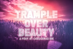 Trample Over Beauty: A Bold Font for Eye-Catching Campaigns